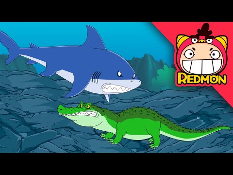 Shark vs Crocodile | Animal Battle | 4K cartoon | REDMON