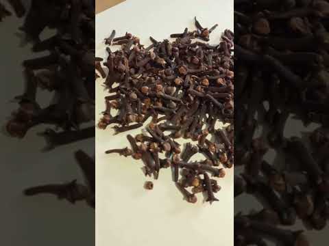 Гвоздика (1 кг) - фото 2 - id-p2373139306