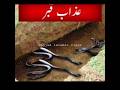 Gali Dene Ka Azab Qabar Ka Azab Allah Ka Azab Shorts Viral Short Trending Islamic