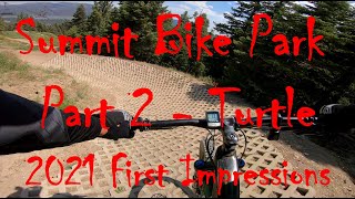 2021 First Impressions