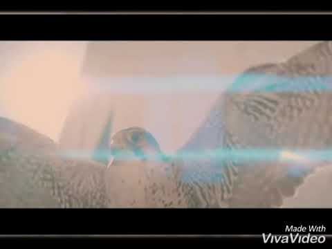 BRADO Feat. MERO (Official Video)