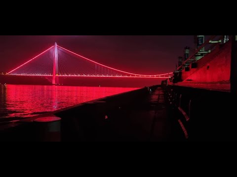 VERY BIG BULK CARRIER pass the BOSPHORUS - HD  time-lapse  ISTANBUL STRAIT - Istanbul bridge