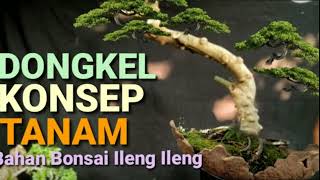 Download lagu Dongkel Konsep Tanam Bonsai Ileng Ileng mp3 Download lagu Dongkel Konsep Tanam Bonsai Ileng Ileng mp3