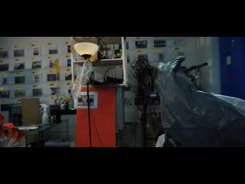 Learning from Thermoselect