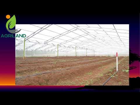 JUAL LAHAN KEBUN PRODUKTIF TANAH MURAH DI BOGOR