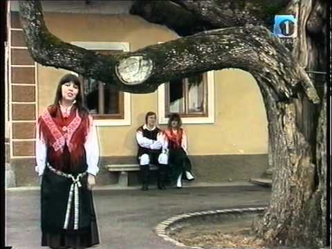 Ansambel Gorenjci - Vem za deželo