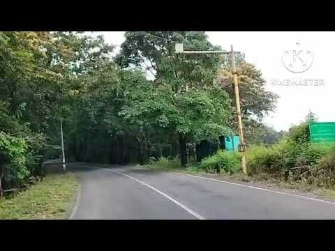 BEAUTY OF LAHA FOREST AREA, LAHA     @i GRAPH