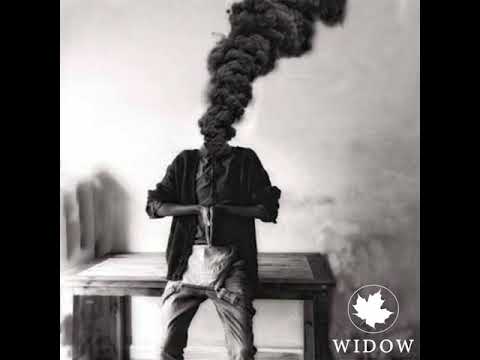 Widow - Sienna Skies