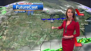 Cheryl Scott 2015/03/09 ABC Chicago HD