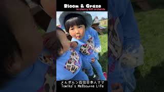 スクホリ中何する? メルボルンでプチ遠出idea♡