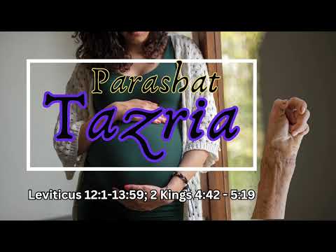 PARASHAT TAZRIA