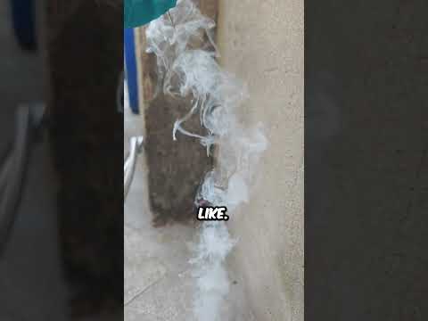 Cesium Ignite's When Contact with Air (@mouldyorange) #shorts