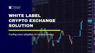 Paybito YouTube Video