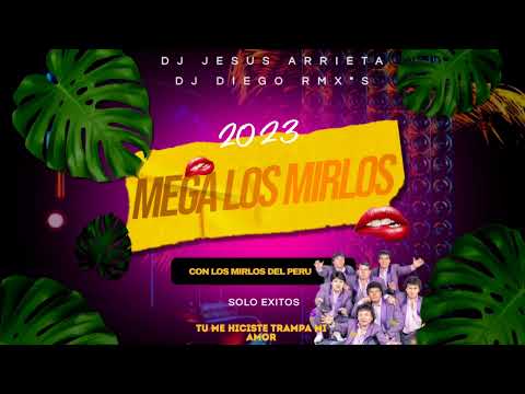 MEGA LOS MIRLOS - (#soloexitos) - DJ JESÚS ARRIETA Ft. @diegormxs8763