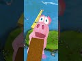Flying Pig