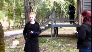 Lilli describing how a dog reacted when an emf spike occurred