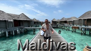Maldivas Constance halaveli part 2 LIVING THE DREAM