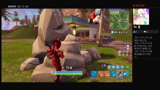 Fortnite PS4 参加型　初心者だけど、頑張るよ！