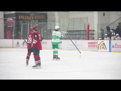 2022-38- AZ Cactus Cup 16U AA- Jr Coyotes vs Pats