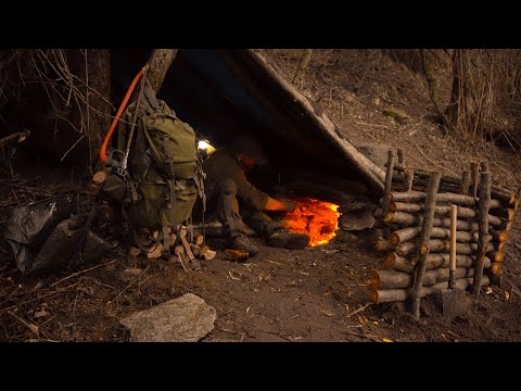 2 days solo bushcraft, survival house in the forest - My life living alone in nature