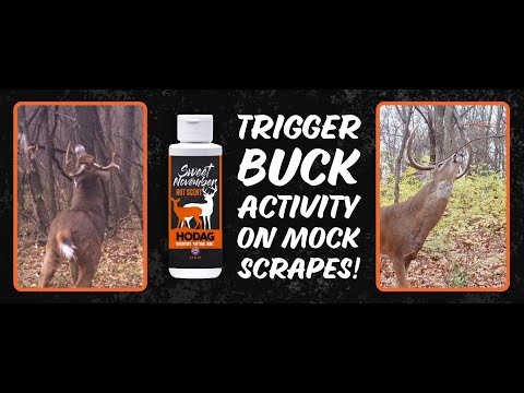 HODAG Sweet November Rut Scent for Deer Hunting