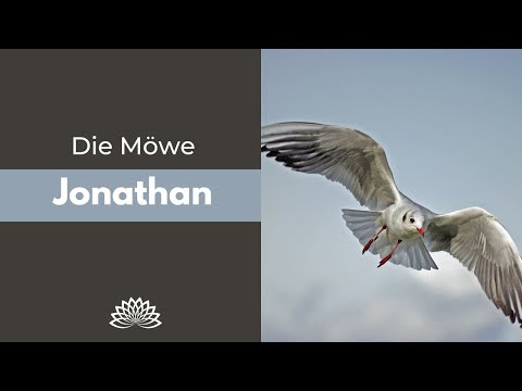 Die Möwe Jonathan (Parabel)