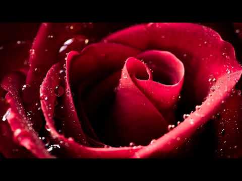 Vai vēl atceries...I.Špillere/K.Krastiņš