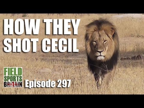 Fieldsports Britain – How They Shot Cecil