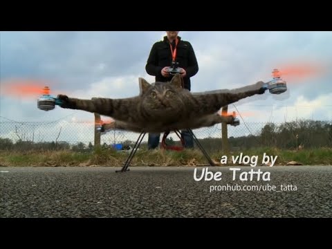 days of dilshan intro meme