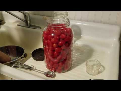download lagu mp3 mp4 Canning Cherry Tomatoes Instructions, download lagu Canning Cherry Tomatoes Instructions gratis, unduh video klip Canning Cherry Tomatoes Instructions