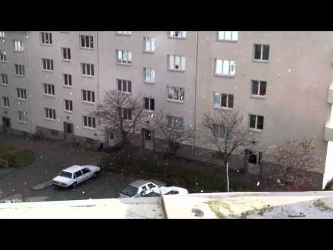 Hagel i Majorna 2010-10-21