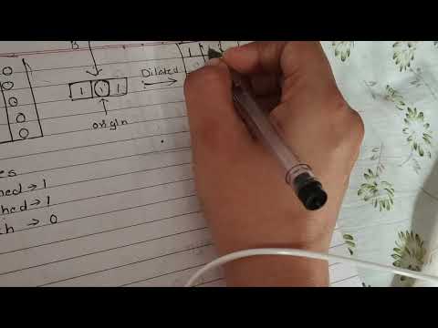 Perform Dilation Using The Structuring Elements