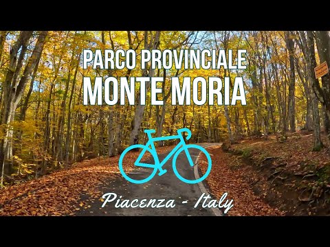Parco Provinciale Monte Moria - Cycling in Italy (Piacenza) thumbnail