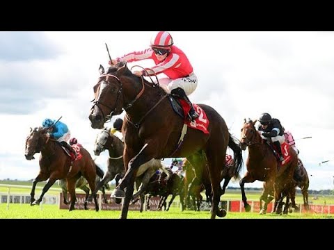 BRADSELL wins the G1 FLYING FIVE STAKES 2024!