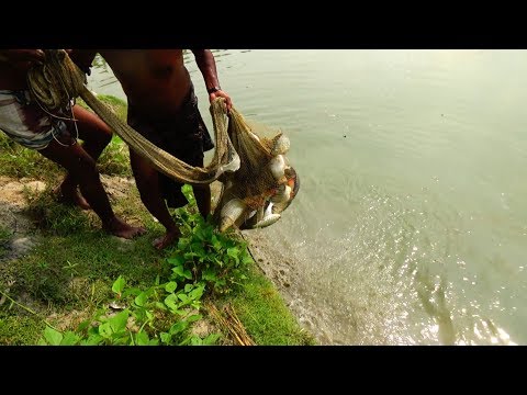 Here is The Big Catch You Won't Believe That How Many Fishes Catch by The Cast Net (Part-10)