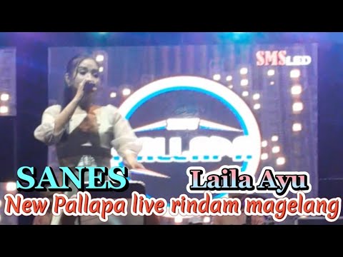 SANES laila ayu new pallapa live rindam magelang #newpallapa #dhehan_audio #magelang