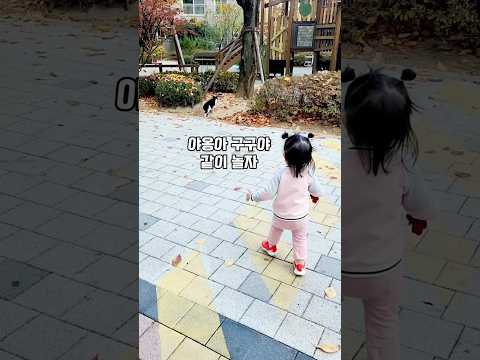 고양이, 비둘기 쫒아다니는 23개월 아기 일상