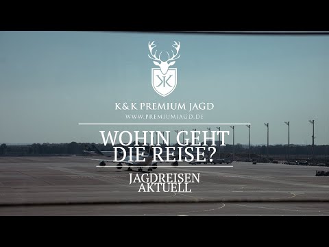 Rotwild Brunft 🦌 2022 Wohin soll die Reise gehen?