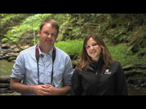 Inside Birding: Size and Shape