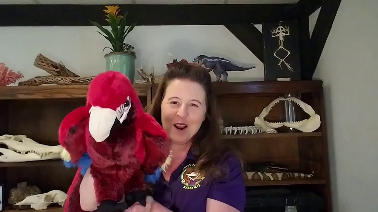 Hire Kids Nature Shows LLC Educational Entertainment in Fairfax, Virginia