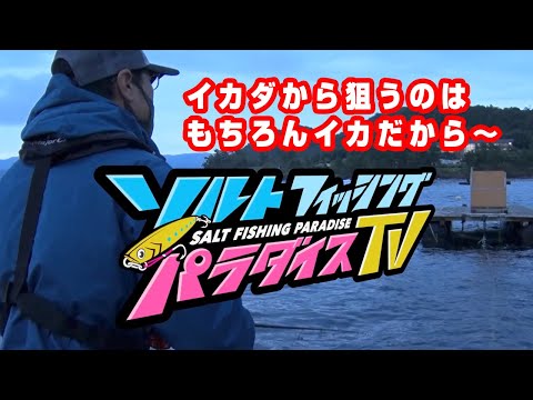 イカダから狙うのはもちろんイカだから〜（ソルパラTV・第52回2021年9月23日放送）