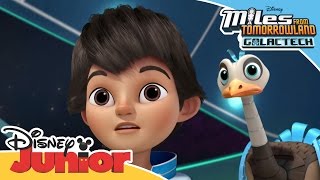 Miles From Tomorrow - Galactech Thief | Official Disney Junior Africa