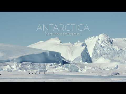Antarctica, sur les traces de l'empereur (Trailer)