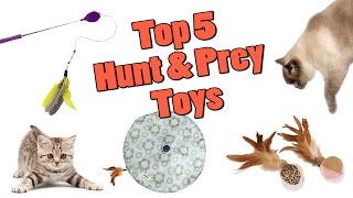 Top 5 Hunt & Prey Toys For Your Cat in 2016!
