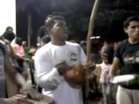 capoeira cordau de ouro