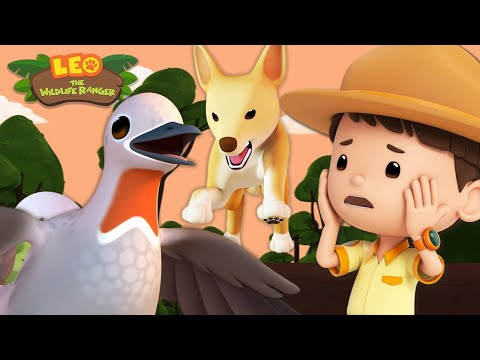 Witness21  2023 12 09