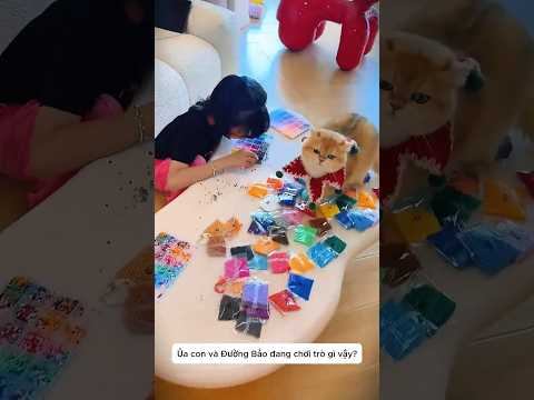 Mèo Quậy 😼 Nuốt Chửng Đồ Chơi Của Chị Hai! 😱