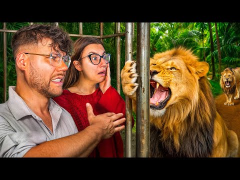 ZAMKNĘLI NAS W KLATCE PRZY LWACH...
