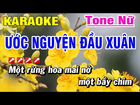 Karaoke Ước Nguyện Đầu Xuân Tone Nữ Nhạc Sống 2023 | Hoài Phong Organ