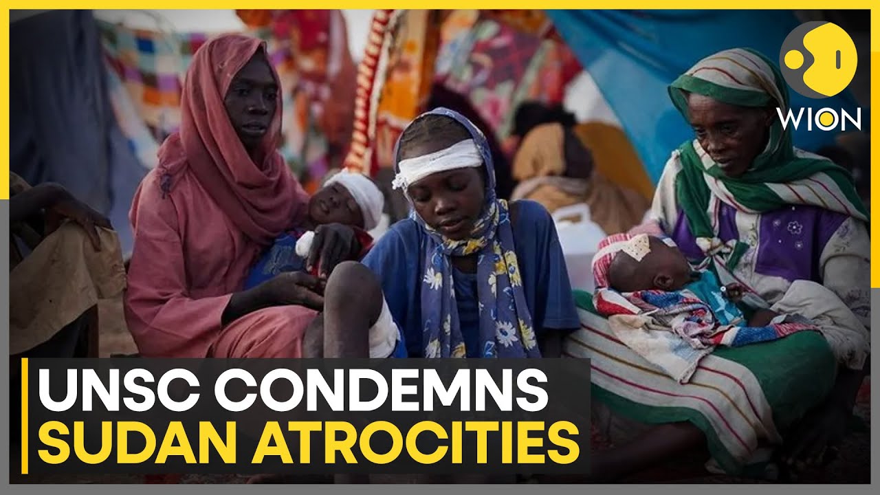 UNSC Condemns RSF Assault in Sudan's Al-Fasher City | RSF Consolidates Darfur Control | WION